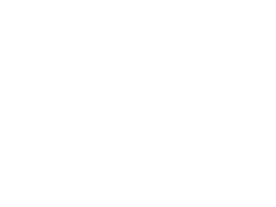 Dassault Systèmes